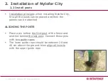 Preview for 10 page of Betafence Nylofor City Installation Manual