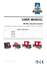 BETEX BLF 200 User Manual предпросмотр