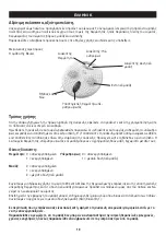 Preview for 19 page of Beurer FM 35 Instructions For Use Manual