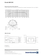 Предварительный просмотр 2 страницы Beyerdynamic Classis GM 301 Specifications