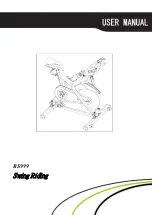 BH FITNESS Swing Riding BS999 User Manual preview