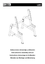 BH Hipower L845 Instructions For Assembly And Use предпросмотр