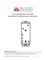 Предварительный просмотр 1 страницы Biasi 125DI Installation And Maintenance Instructions Manual