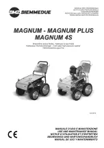 BIEMMEDUE MAGNUM Use And Maintenance Manual предпросмотр