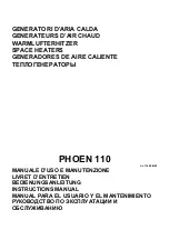 Preview for 1 page of BIEMMEDUE PHOEN 110 Instruction Manual