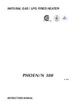 BIEMMEDUE PHOEN/N 380 Instruction Manual предпросмотр