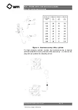 Предварительный просмотр 20 страницы BIFFI HLA Series Use And Maintenance Manual