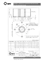 Предварительный просмотр 8 страницы BIFFI OLGAS 0.3 Use And Maintenance Manual