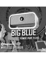 Big Blue POWER.PAIR.PLAY User Manual предпросмотр