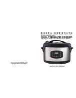 Big boss 8698FE Instruction Manual предпросмотр