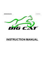 Big cat G H O S T R I D E R Instruction Manual preview