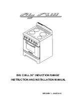 Big Chill 30" series Instruction And Installation Manual предпросмотр