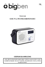 Предварительный просмотр 55 страницы Bigben TR24DAB Operating Instructions Manual