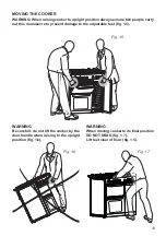 Предварительный просмотр 13 страницы BigBlue Select 90DF3 Installation Instructions And User Manual