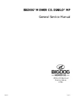 Предварительный просмотр 1 страницы BigDog Diablo MP General Service Manual