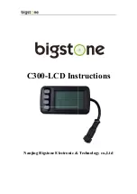 BIGSTONE C300-LCD Instructions Manual предпросмотр