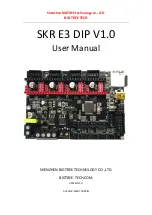BIGTREETECH SKR E3 DIP V1.0 User Manual preview