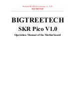 BIGTREETECH SKR Pico V1.0 Operation Manual preview