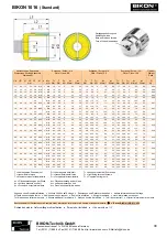 Предварительный просмотр 3 страницы BIKON 1016 Quick Start Manual