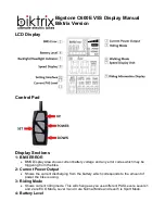 Biktrix Bigstone C600E V5S Manual preview