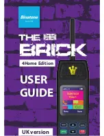 Binatone Brick 4home edition User Manual preview