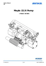 Binks 104205 Service Manual preview