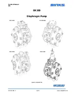 Binks DX200AM Service Manual preview