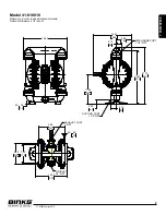 Preview for 5 page of Binks Gemini II 41-818810 Service & Operating Manual