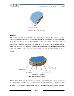 Предварительный просмотр 17 страницы BIO electronica sessantaquattro User Manual