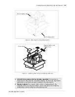 Предварительный просмотр 47 страницы Bio-Tek ELx405 Operator'S Manual