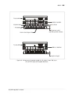 Предварительный просмотр 99 страницы Bio-Tek ELx405 Operator'S Manual