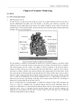 Предварительный просмотр 55 страницы Biocare iM 12 User Manual