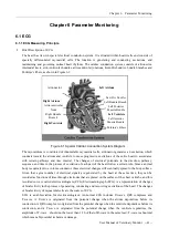 Предварительный просмотр 53 страницы Biocare PM-900 User Manual