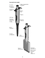 Preview for 39 page of Biohit mLINE m10 Instruction Manual