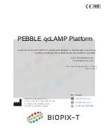 Предварительный просмотр 1 страницы BIOPIX-T PEBBLE qcLAMP Platform Instructions For Use Manual