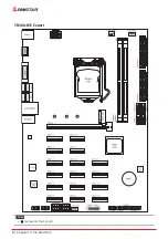 Предварительный просмотр 8 страницы Biostar TB360-BTC Expert Manual