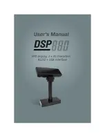 Birch DSP880 Series User Manual preview