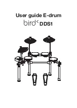 Preview for 1 page of BIRD DDS1 User Manual