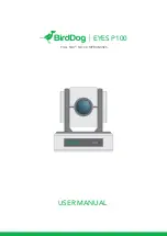 birddog EYES P100 User Manual предпросмотр