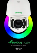 birddog NDI A200 User Manual предпросмотр