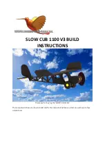 Birds Eye View SLOW CUB 1100 V3 Build Instructions preview