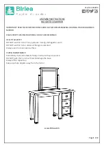 Birlea WOODSTOCK MIRROR Assembly Instructions preview