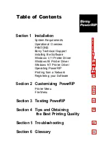 Preview for 4 page of Birmy Graphics PowerRIP Stylus Installation And Operation Manual