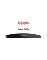 biscotti Smart TV Cam User Manual preview