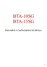 Preview for 63 page of Bisonte BTA-10SG User Manual