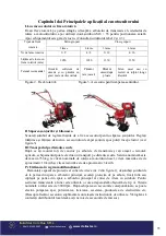 Preview for 11 page of Bisonte BTA-12SDE User Manual