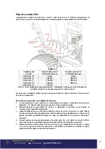 Предварительный просмотр 17 страницы Bisonte BTA-450TR User Manual