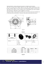 Предварительный просмотр 13 страницы Bisonte MF400 User Manual