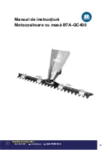 Предварительный просмотр 20 страницы Bisonte MF400 User Manual