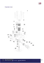 Предварительный просмотр 67 страницы Bisonte PAZ-6860E User Manual